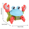 Wonder Crab
